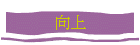 向上