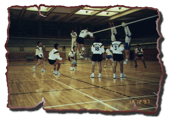 v-02.jpg (194695 bytes)